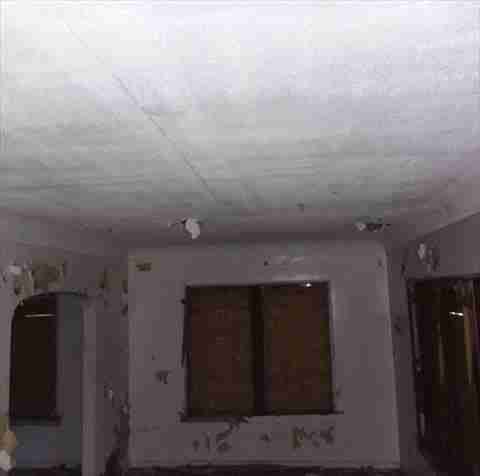 4200156_0024 (2).jpg